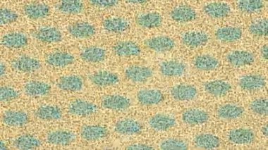 Benzersiz hareket grafikleri tasarım sanatına sahip yaratıcı film üretimi için özet bir arkaplan