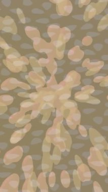 Benzersiz dijital hareket grafiklerine sahip yaratıcı sinematik projeler için yumuşak animasyon yüzeyi