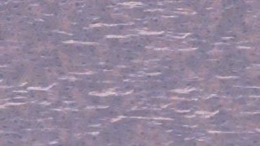 Benzersiz hareket dokusu tasarım sanatı ile profesyonel video düzenleme için modern soyut grafikler