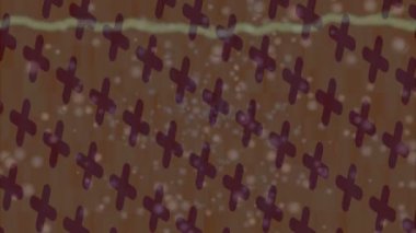 Estetik doku arkaplan tasarımı renkli hareket grafikleri ile moda film giriş profosyoneli