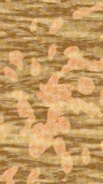 Benzersiz hareket dokusu tasarım sanatı ile profesyonel video düzenleme için modern soyut grafikler