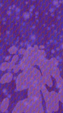 Organik desenli yüzey giriş stili video film sanatı ile soyut arkaplan tasarımı