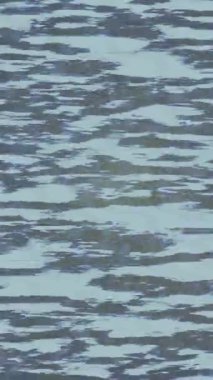 Benzersiz dijital animasyon tarzı grafikleri olan yaratıcı ortam tasarımı için yenilikçi hareket dokusu