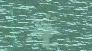 Profesyonel video projeleri sanat tarzı için organik hareketli arkaplan tasarımı