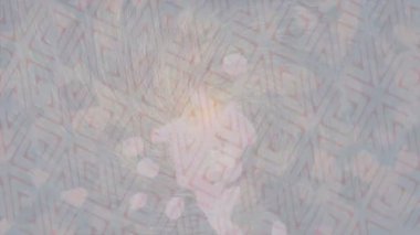 Yaratıcı video düzenleme film arkaplan tasarımı için minimalist organik hareket grafikleri