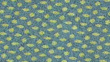 Lüks hareket tasarımı üst düzey video projeleri ve dijital sanat için zarif, pürüzsüz bir dokusu var.