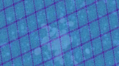 Dijital doku yüzey tasarım biçimi ile modern video animasyonu için gelişmiş hareket grafikleri