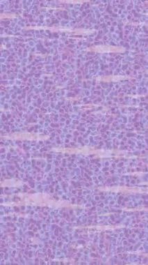 Dijital doku yüzey tasarım biçimi ile modern video animasyonu için gelişmiş hareket grafikleri