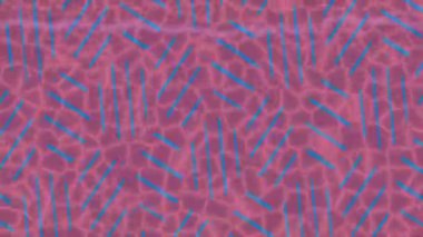 Benzersiz dijital animasyon tarzı grafikleri olan yaratıcı ortam tasarımı için yenilikçi hareket dokusu