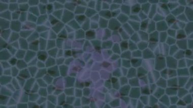 Yaratıcı video düzenleme film tasarımı için benzersiz hareket grafikleri biçimi giriş hareketi video pro