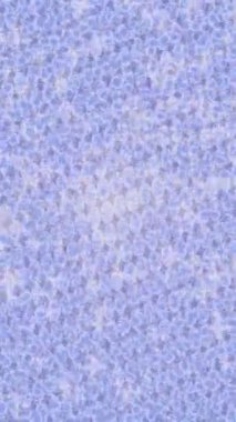 Benzersiz hareket grafikleri tasarım sanatına sahip yaratıcı film üretimi için özet bir arkaplan