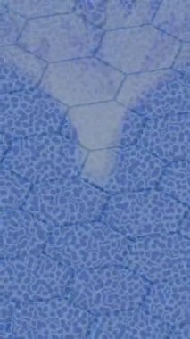 Lüks hareket tasarımı üst düzey video projeleri ve dijital sanat için zarif, pürüzsüz bir dokusu var.