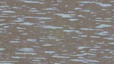 Benzersiz hareket dokusu tasarım sanatı ile profesyonel video düzenleme için modern soyut grafikler