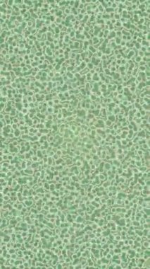 Benzersiz dijital animasyon tarzı grafikleri olan yaratıcı ortam tasarımı için yenilikçi hareket dokusu