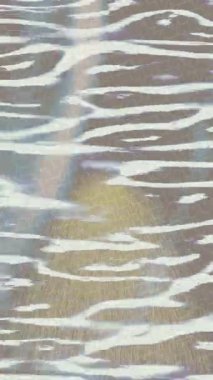 Cinematic backdrop design with organic motion graphics for professional video projects art style