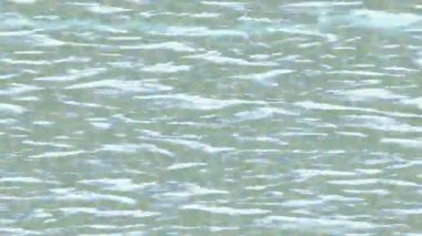 Profesyonel video projeleri sanat tarzı için organik hareketli arkaplan tasarımı