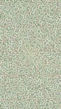 Benzersiz video giriş tasarımı projeleri için detaylı yüzey kalıbı film animasyon stili grafik girişi