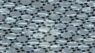 Profesyonel video projeleri sanat tarzı için organik hareketli arkaplan tasarımı