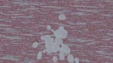 Profesyonel video projeleri sanat tarzı için organik hareketli arkaplan tasarımı