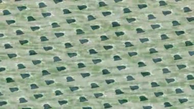 Yaratıcı video düzenleme film arkaplan tasarımı için minimalist organik hareket grafikleri