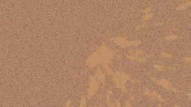 Yaratıcı video düzenleme film tasarımı için benzersiz hareket grafikleri biçimi giriş hareketi video pro