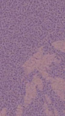 Modern medya üretimi için fütüristik dijital soyut doku sinematik tarz hareketli grafik ögesi