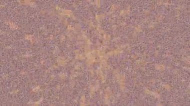 Dijital doku yüzey tasarım biçimi ile modern video animasyonu için gelişmiş hareket grafikleri