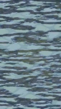 Benzersiz dijital hareket grafiklerine sahip yaratıcı sinematik projeler için yumuşak animasyon yüzeyi