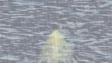 Benzersiz hareket dokusu tasarım sanatı ile profesyonel video düzenleme için modern soyut grafikler