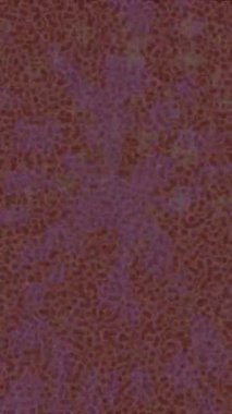 Yaratıcı video düzenleme film arkaplan tasarımı için minimalist organik hareket grafikleri