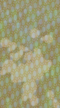 Yaratıcı video düzenleme film arkaplan tasarımı için minimalist organik hareket grafikleri