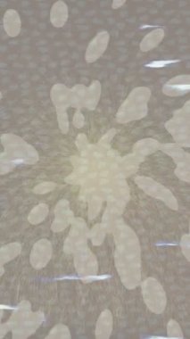 Soyut hareket desenli fütüristik video üretimi için dinamik dijital arkaplan