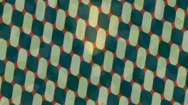 Organik desenli yüzey giriş stili video film sanatı ile soyut arkaplan tasarımı