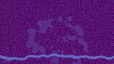 Profesyonel video projeleri sanat tarzı için organik hareketli arkaplan tasarımı