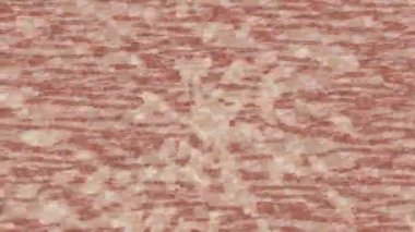 Soyut hareket desenli fütüristik video üretimi için dinamik dijital arkaplan