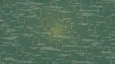 Profesyonel video projeleri sanat tarzı için organik hareketli arkaplan tasarımı