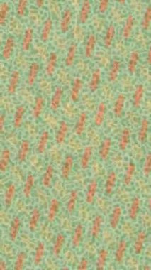 Benzersiz hareket grafikleri tasarım sanatına sahip yaratıcı film üretimi için özet bir arkaplan