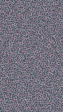 Yaratıcı video düzenleme film tasarımı için benzersiz hareket grafikleri biçimi giriş hareketi video pro