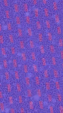 Yaratıcı video düzenleme film arkaplan tasarımı için minimalist organik hareket grafikleri