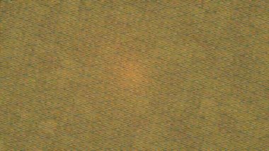 Benzersiz dijital hareket grafiklerine sahip yaratıcı sinematik projeler için yumuşak animasyon yüzeyi