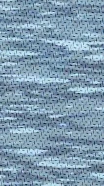 Benzersiz dijital hareket grafiklerine sahip yaratıcı sinematik projeler için yumuşak animasyon yüzeyi