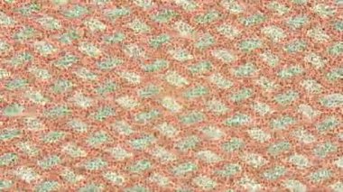 Organik desenli yüzey giriş stili video film sanatı ile soyut arkaplan tasarımı