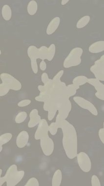 Benzersiz hareket dokusu tasarım sanatı ile profesyonel video düzenleme için modern soyut grafikler