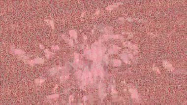 Lüks hareket projeleri için soyut tasarım stili animasyonu olan üst düzey dijital doku