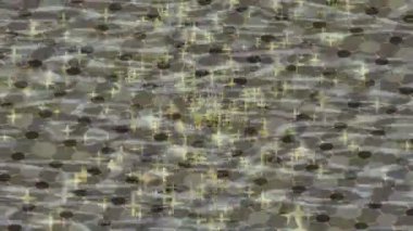 Yaratıcı video düzenleme film arkaplan tasarımı için minimalist organik hareket grafikleri