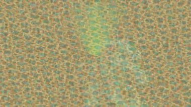 Dijital doku yüzey tasarım biçimi ile modern video animasyonu için gelişmiş hareket grafikleri