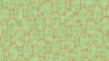 Benzersiz video giriş tasarımı projeleri için detaylı yüzey kalıbı film animasyon stili grafik girişi