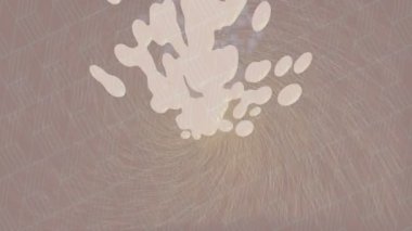 Yaratıcı video düzenleme film arkaplan tasarımı için minimalist organik hareket grafikleri