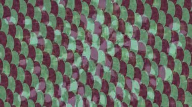 Benzersiz dijital hareket grafiklerine sahip yaratıcı sinematik projeler için yumuşak animasyon yüzeyi