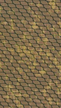 Benzersiz video giriş tasarımı projeleri için detaylı yüzey kalıbı film animasyon stili grafik girişi